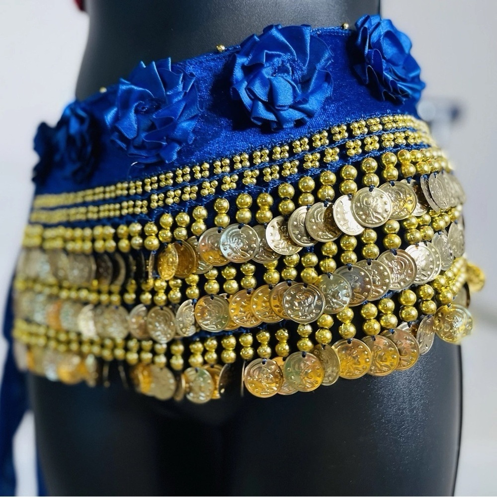 Belly Dance Skirt with Gold Coins and Rose Petals - Picture 6 of 8